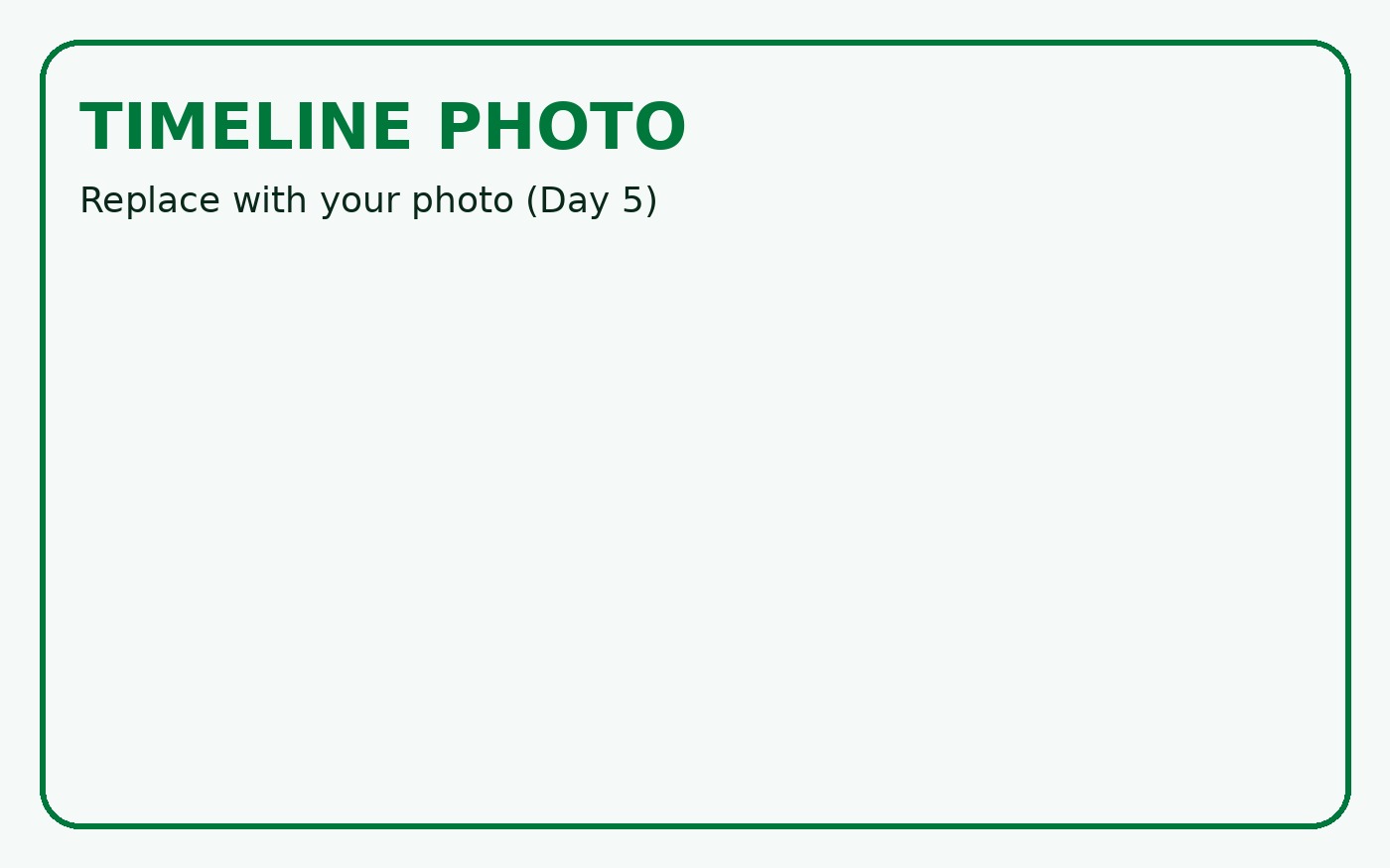 Timeline Day 5